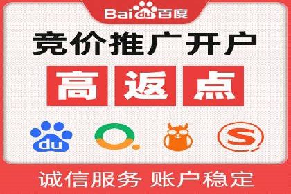 百度推广公司的成功案例：如何实现广告投资回报最大化